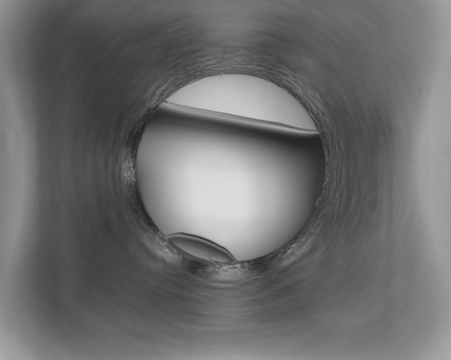 X0000112530384200908171150