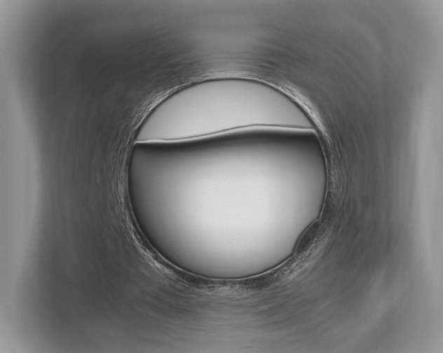 X0000112530385200908171149
