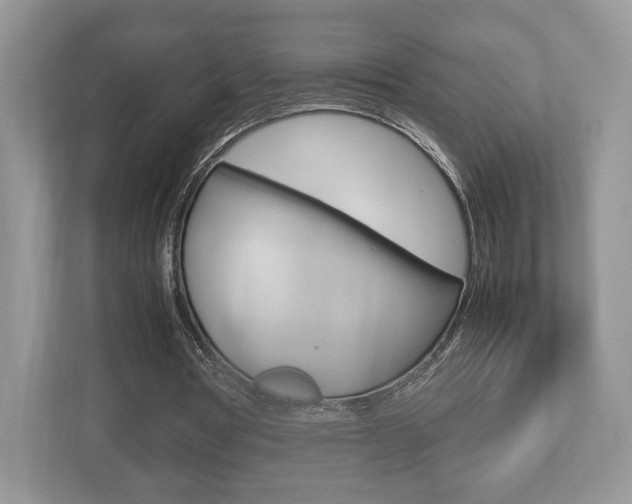 X0000112530386200908171149