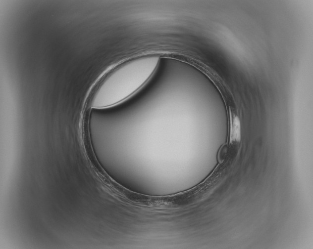 X0000112530387200908171149