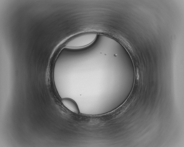 X0000112530388200908171149