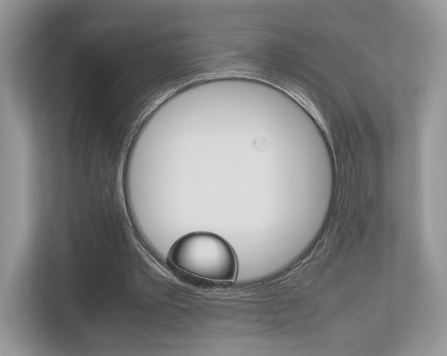 X0000112530389200908171149