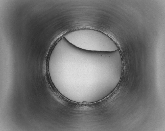 X0000112530390200908171149