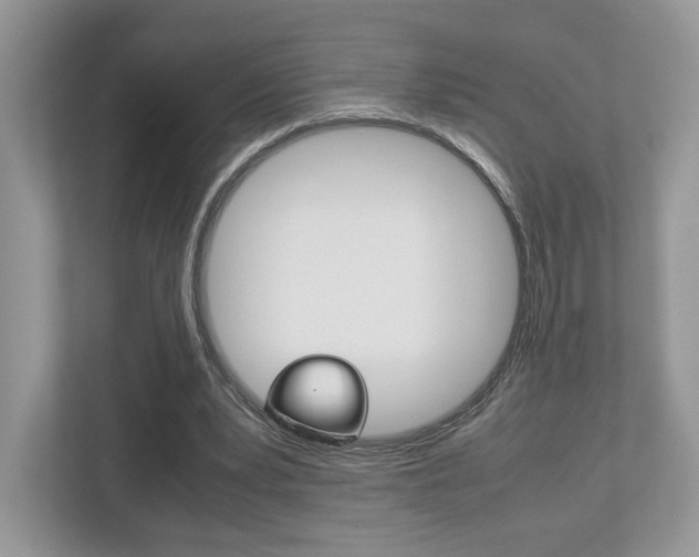 X0000112530391200908171149