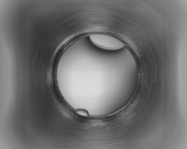 X0000112530392200908171149