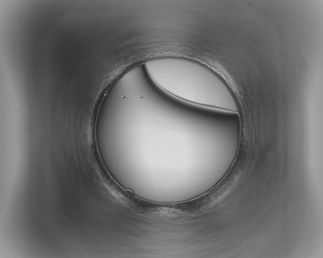 X0000112530393200908171149