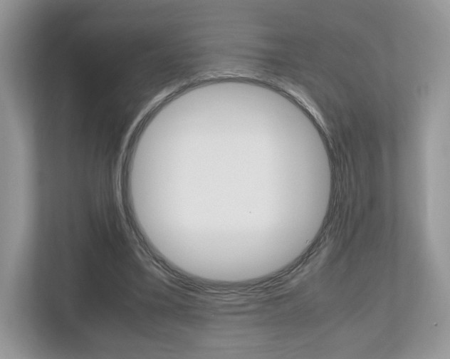 X0000112530395200908171149