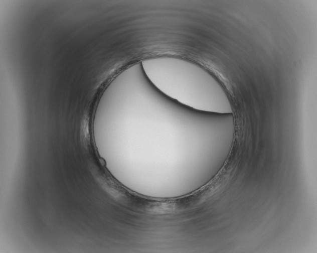 X0000112530398200908171149