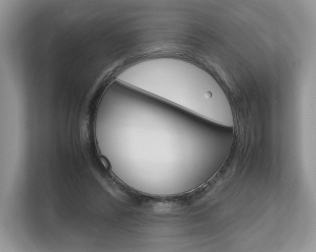 X0000112530400200908171149