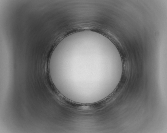 X0000112530406200908171149