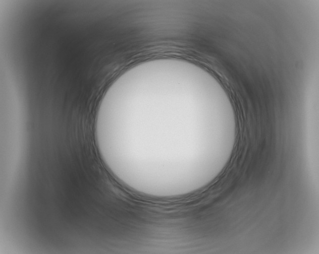 X0000112530411200908171149