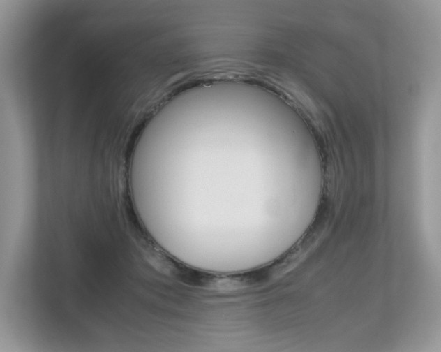 X0000112530413200908171149