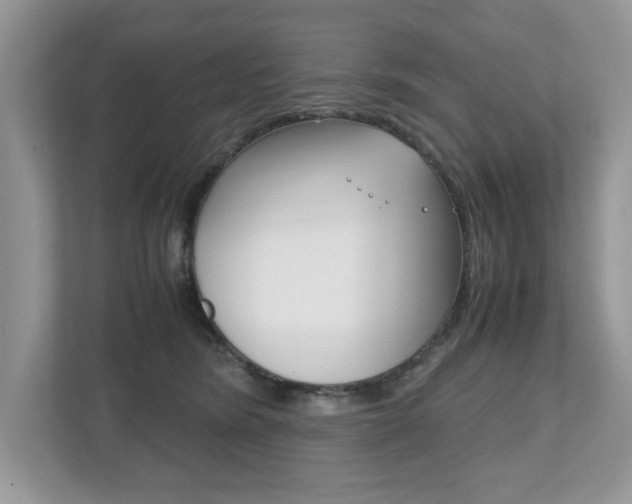 X0000112530420200908171149