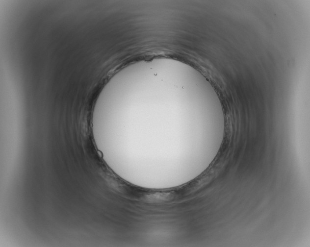 X0000112530422200908171149