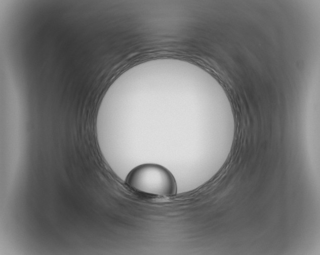 X0000112530425200908171149