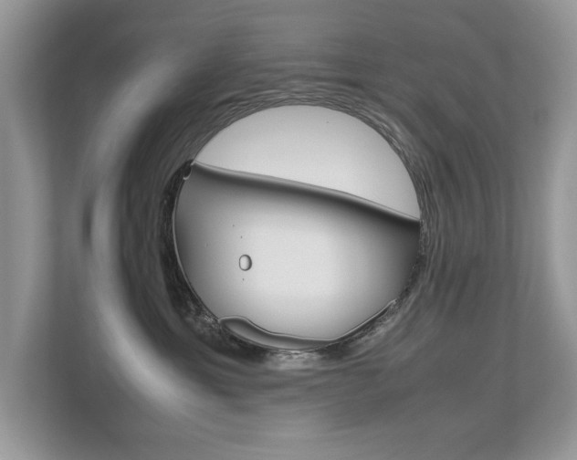 X0000112530429200908171149