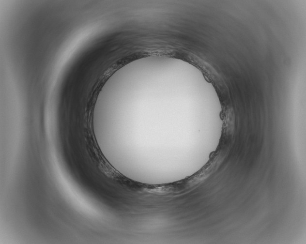 X0000112530430200908171148