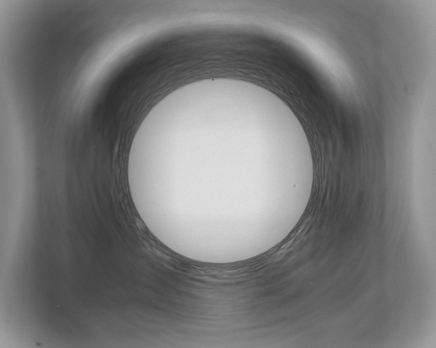 X0000112530431200908171148