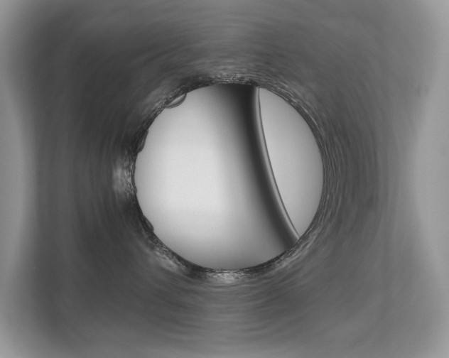 X0000112530432200908171148