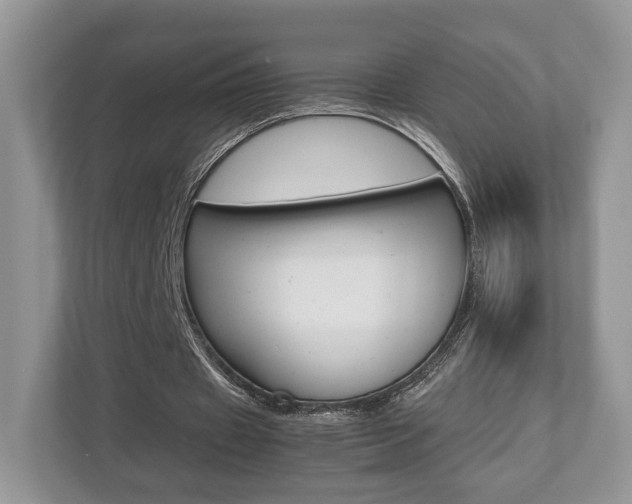 X0000112530433200908171148