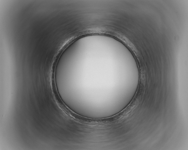 X0000112530434200908171148