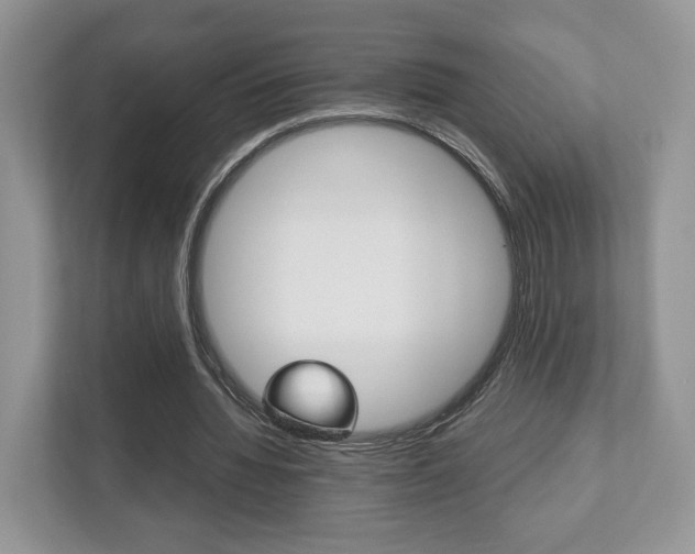 X0000112530436200908171148