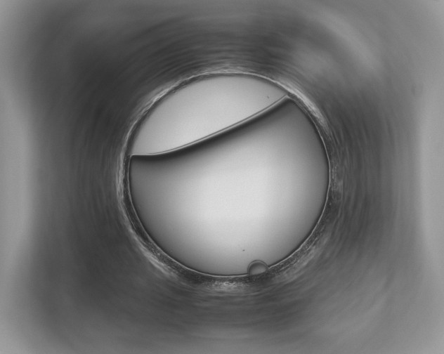X0000112530437200908171148
