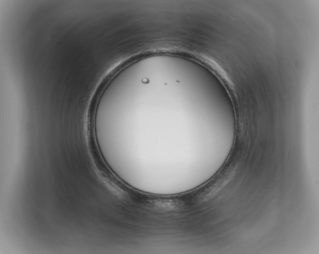 X0000112530439200908171148