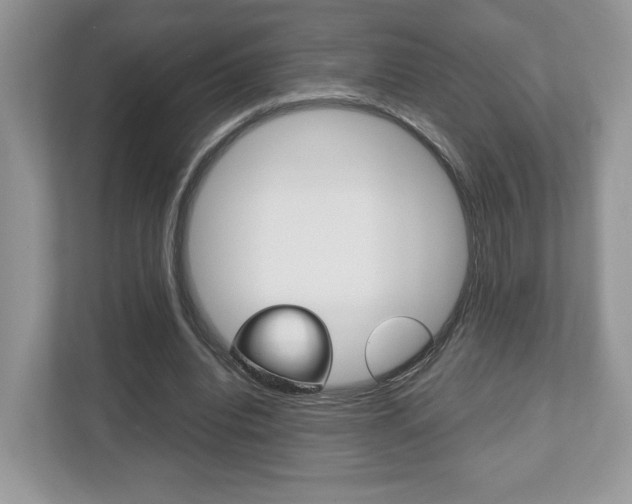X0000112530440200908171148