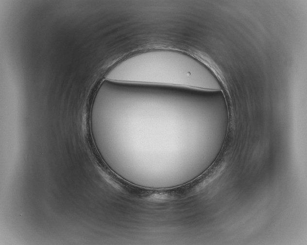 X0000112530441200908171148