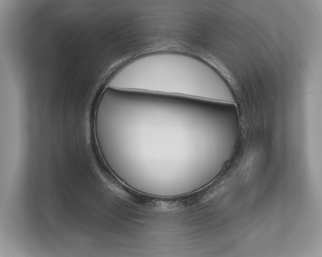 X0000112530442200908171148