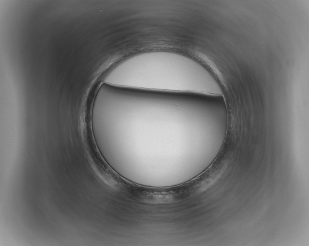 X0000112530443200908171148