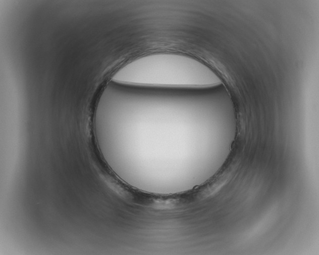 X0000112530450200908171148