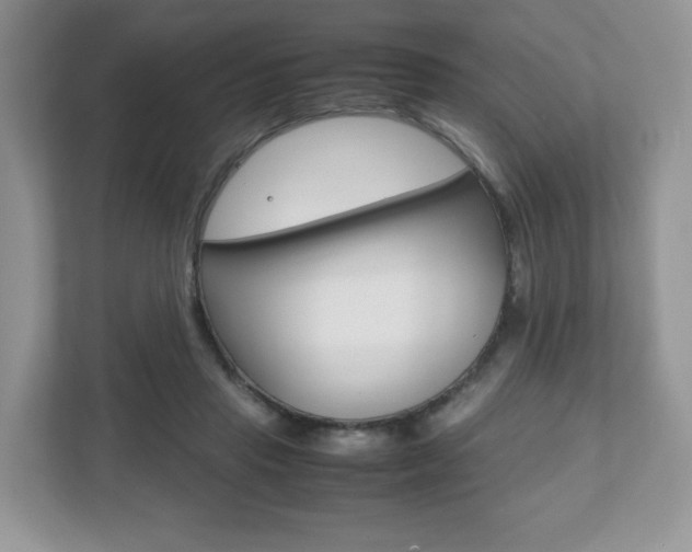 X0000112530453200908171148