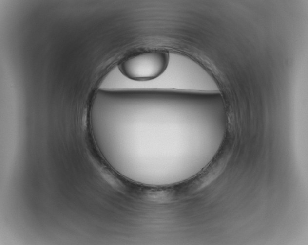 X0000112530454200908171148