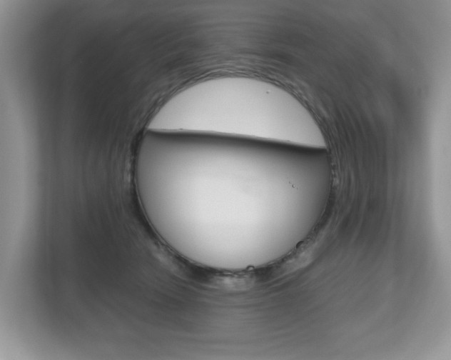 X0000112530466200908171148