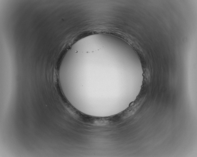 X0000112530470200908171148