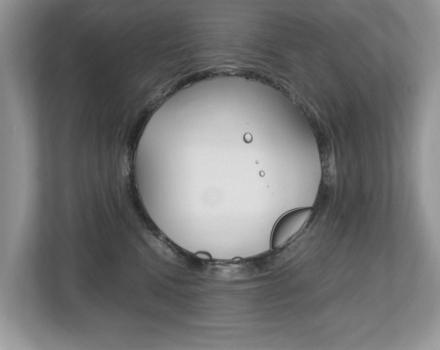 X0000112530472200908171148