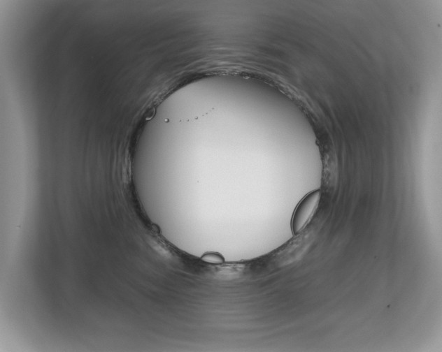 X0000112530474200908171148