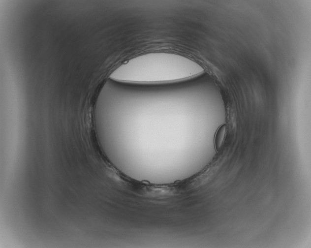 X0000112530475200908171148