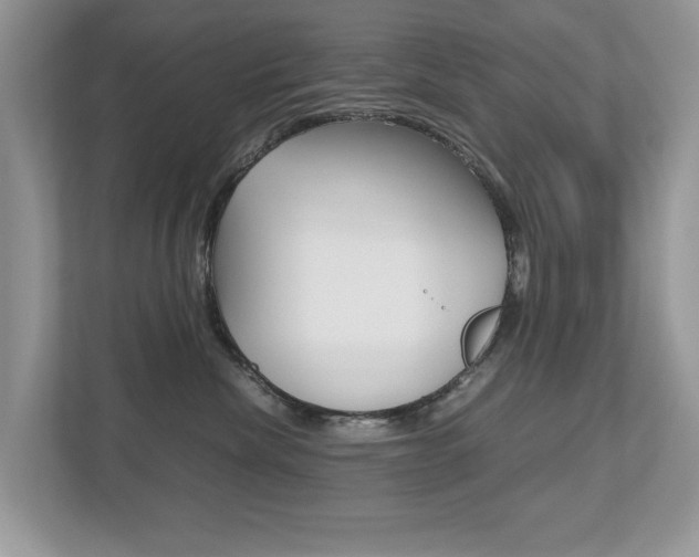 X0000112530476200908171148