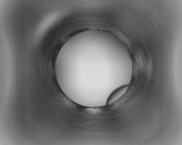 X0000112530477200908171148