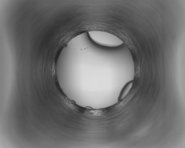 X0000112530478200908171148