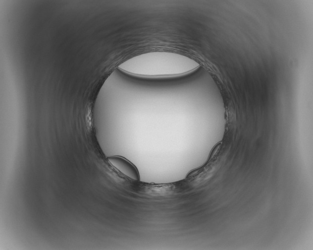 X0000112530479200908171148