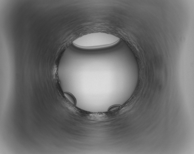 X0000112530480200908171148