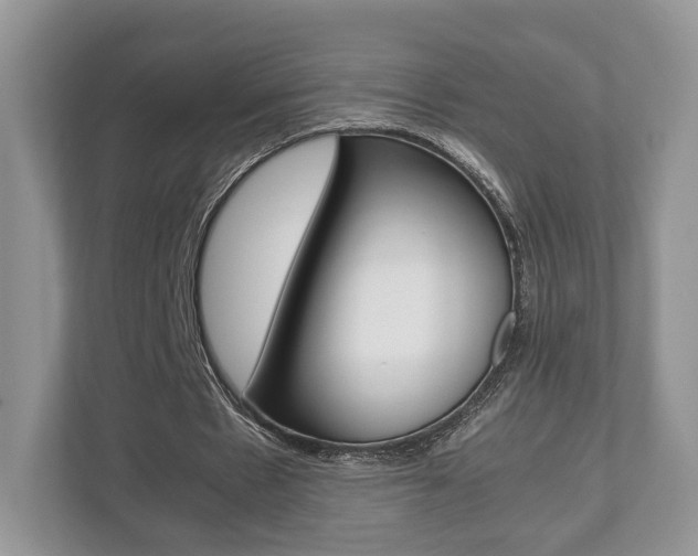 X0000112530481200908171148