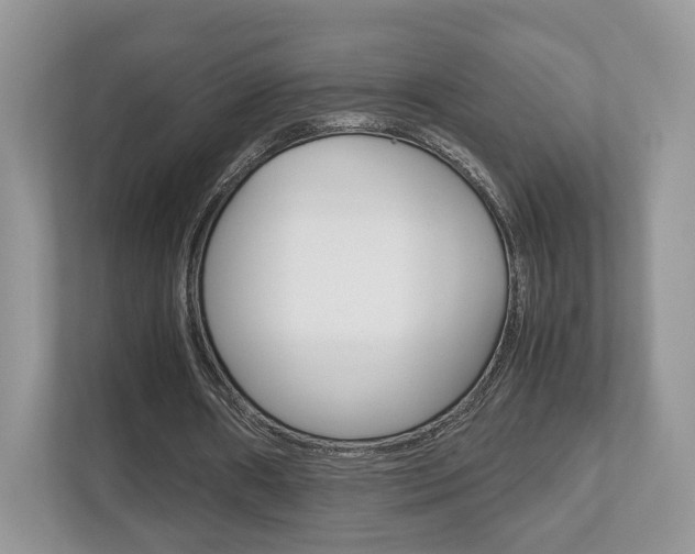 X0000112530482200908171148