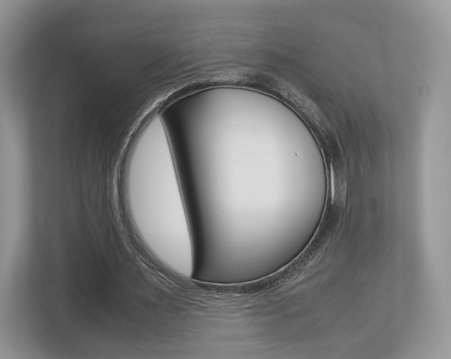 X0000112530483200908171148
