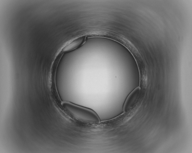 X0000112530484200908171148