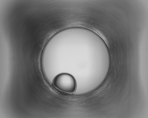 X0000112530485200908171148